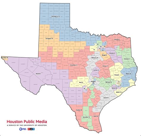 how are texas state reps selected